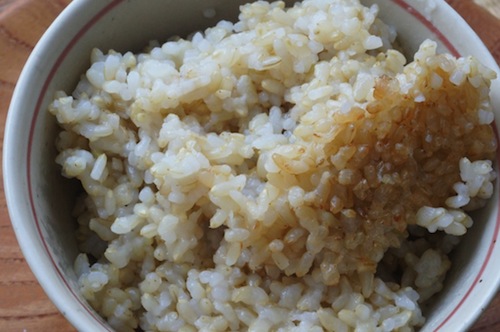 玄米１