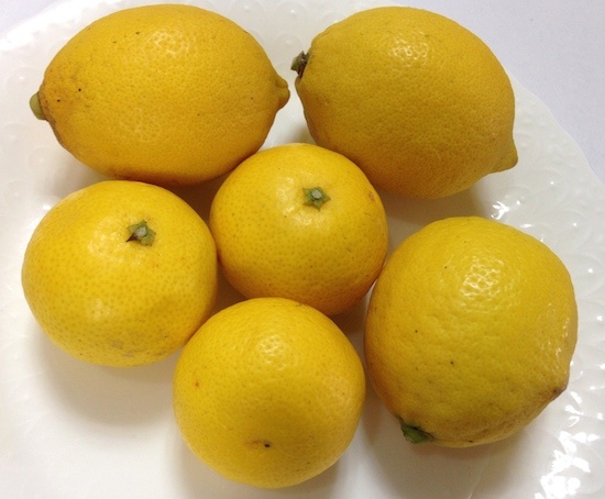 黄金柑　国産レモン　マクロビオティック毒消し