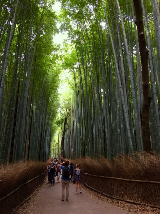 京都　嵐山　竹林の小径