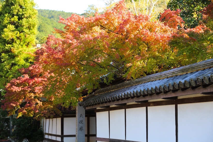 京都　南禅寺１