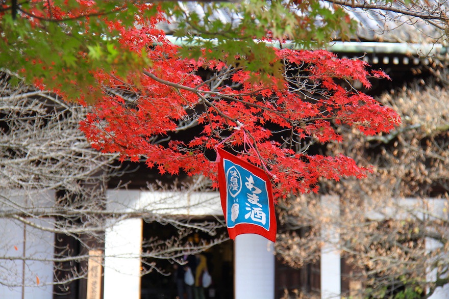 京都　真如堂の紅葉５