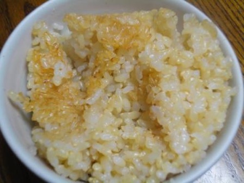 玄米１