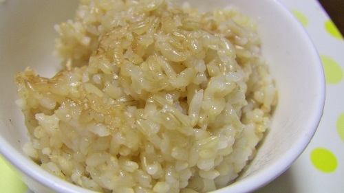 玄米ご飯0408㈪ (500x281)